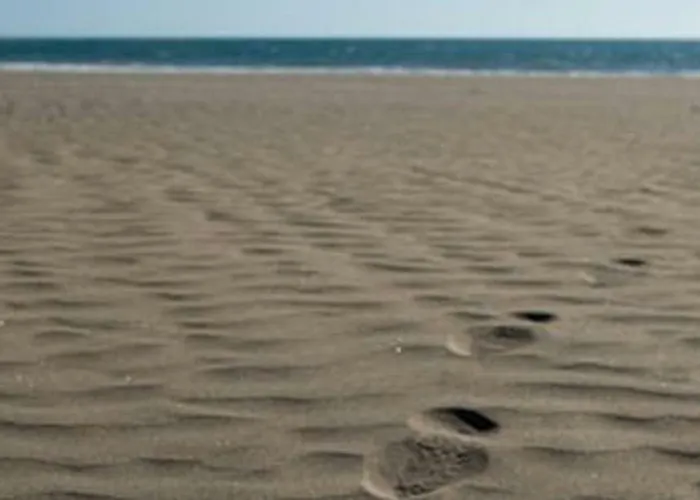Primera Linea De Playa De Las Burras