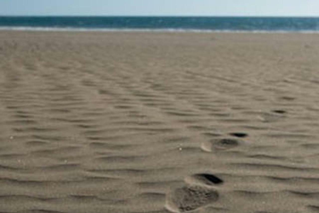 Primera Linea De Playa De Burras Appartement *